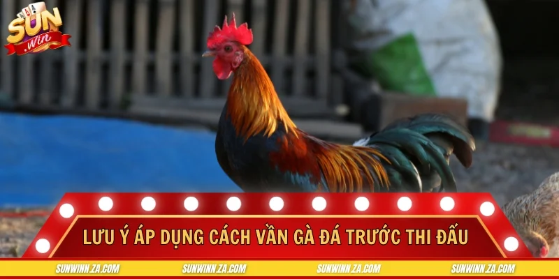 Lưu ý khi áp dụng cách vần gà đá trước thi đấu