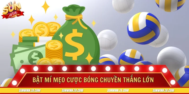 Bật mí mẹo cược bóng chuyền thắng lớn dễ dàng